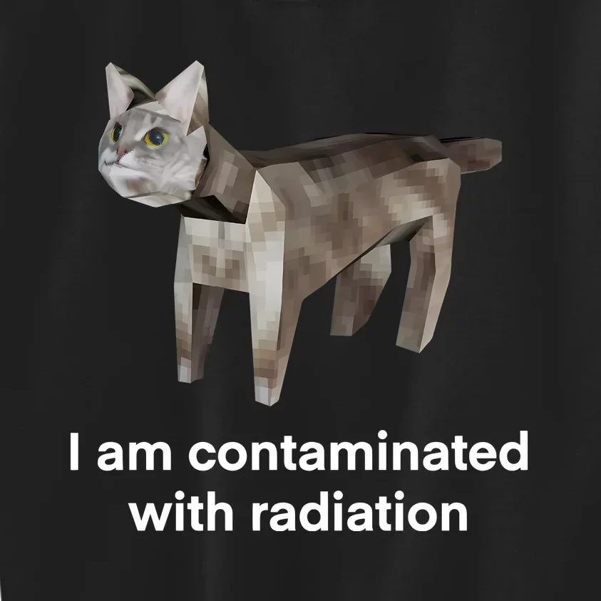 I Am Contaminated Funny Cat Meme Kids Sweatshirt