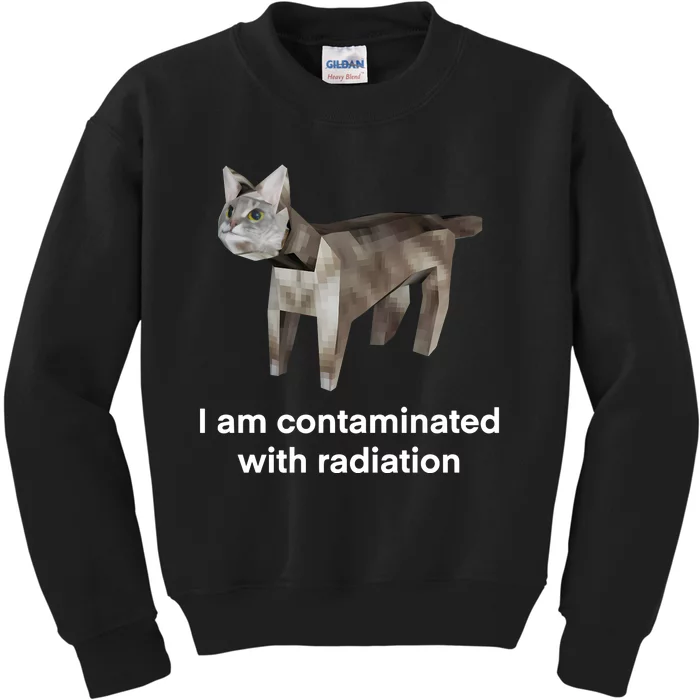 I Am Contaminated Funny Cat Meme Kids Sweatshirt