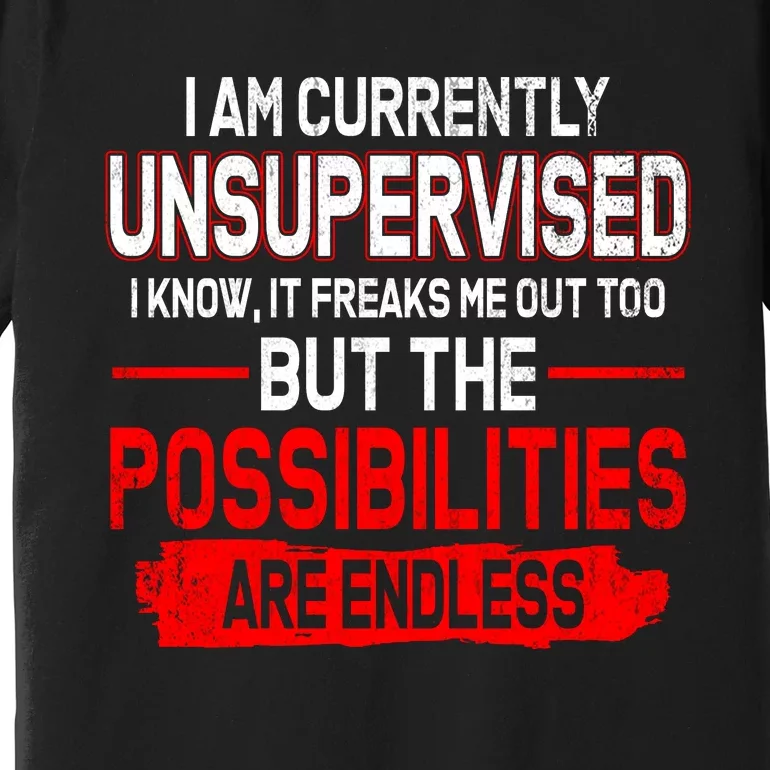 I Am Currently Unsupervised The Possibilities Are Endless Premium T-Shirt