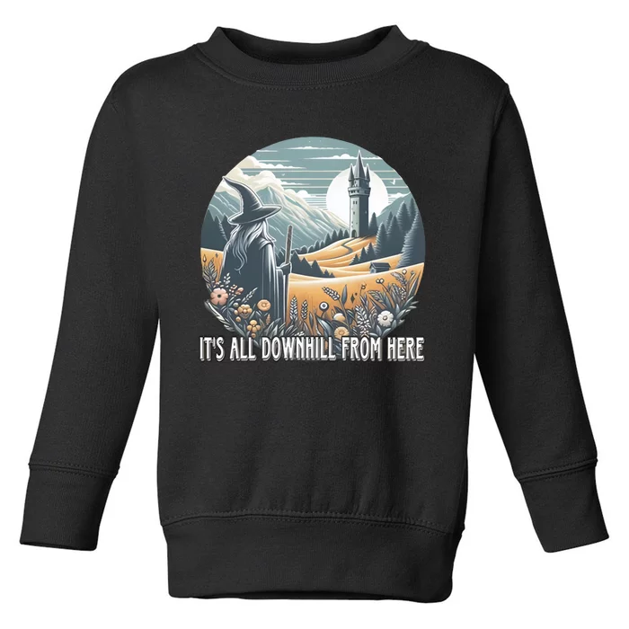 It’S All Downhill From Here Wizard Toddler Sweatshirt