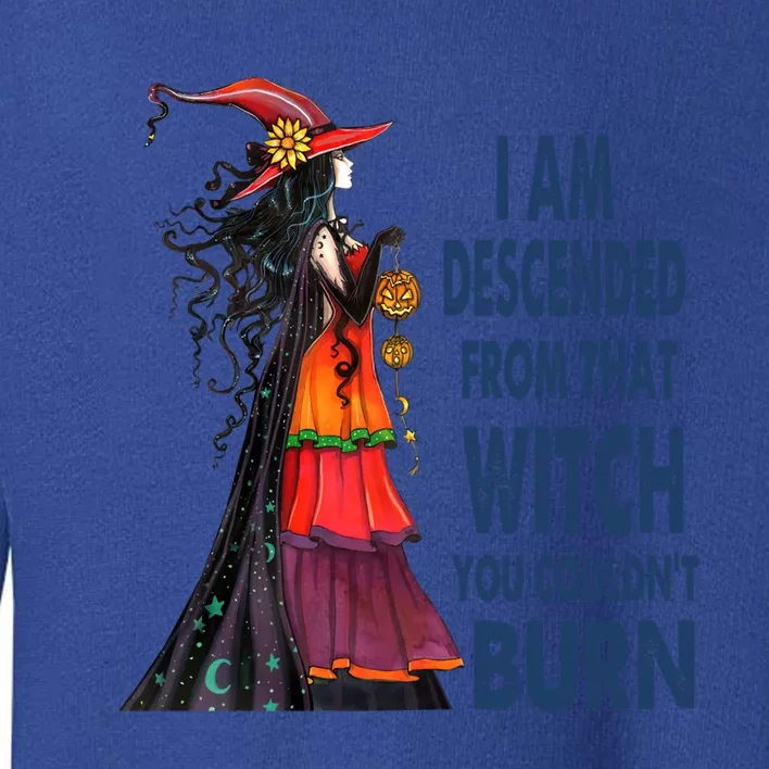 I Am Descended From That Witch You Couldnt Burn Gift Toddler Sweatshirt