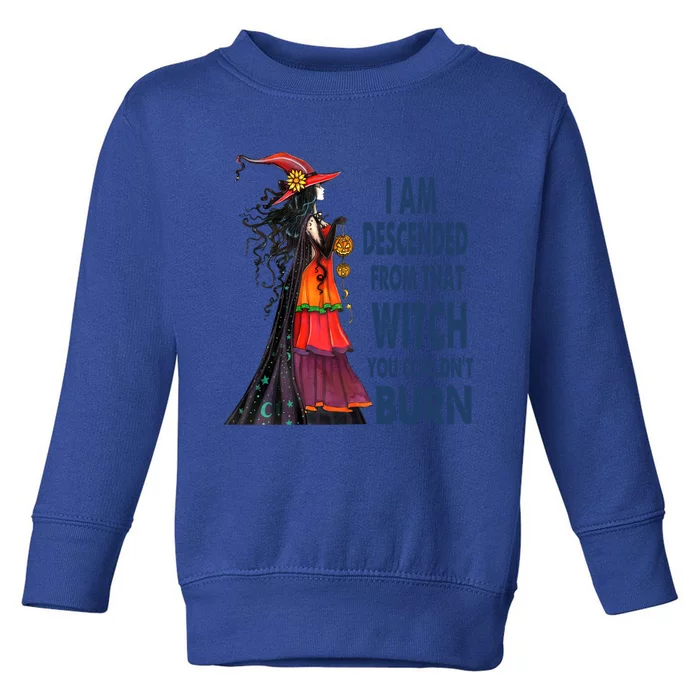 I Am Descended From That Witch You Couldnt Burn Gift Toddler Sweatshirt