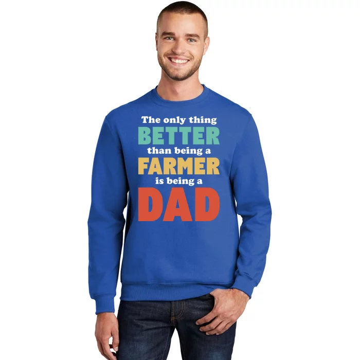 I'm A Dad And Farmer Funny Fatherhood Funny Dad Meaningful Gift Tall Sweatshirt