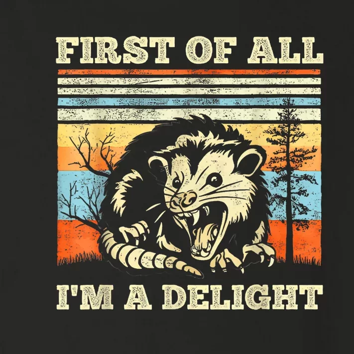 Im A Delight Sarcastic Angry Opossum Possum Toddler Long Sleeve Shirt