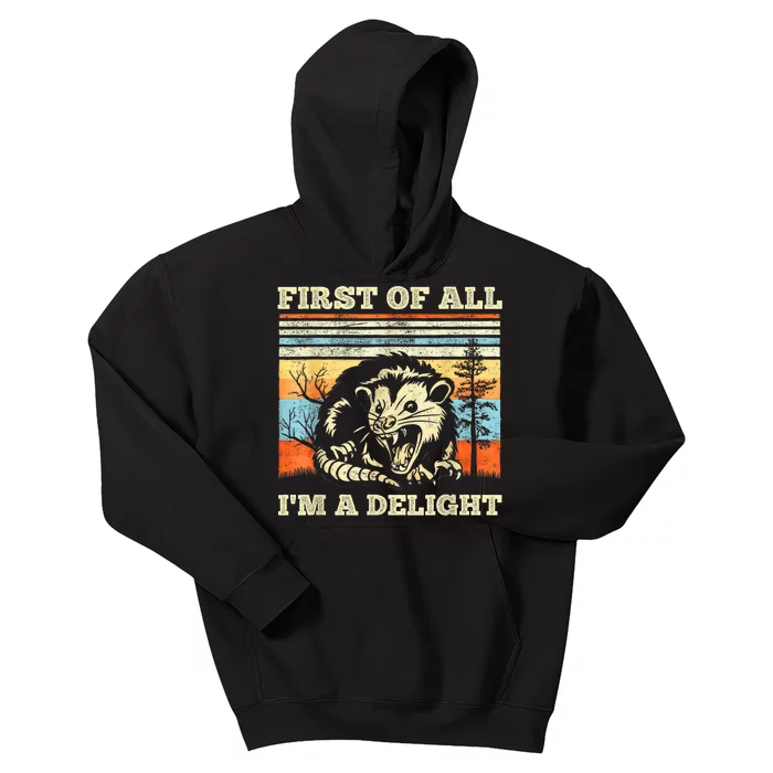 Im A Delight Sarcastic Angry Opossum Possum Kids Hoodie