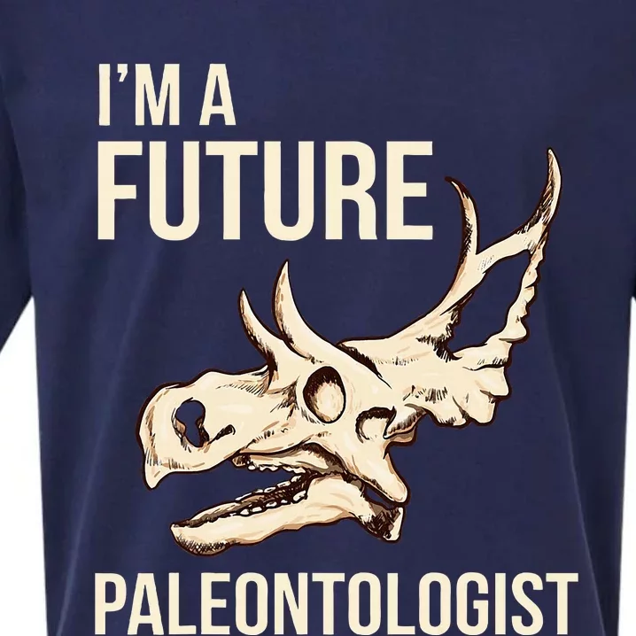 IM A Future Paleontologist Dinosaur Fossil Enthusiast Sueded Cloud Jersey T-Shirt