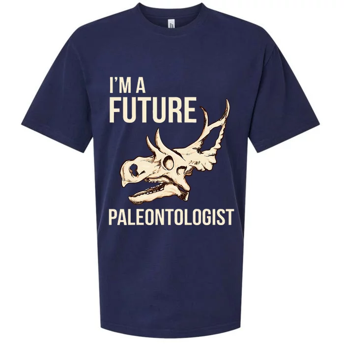 IM A Future Paleontologist Dinosaur Fossil Enthusiast Sueded Cloud Jersey T-Shirt