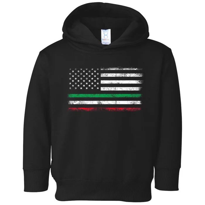 Italian American Flag Italy Flag Toddler Hoodie