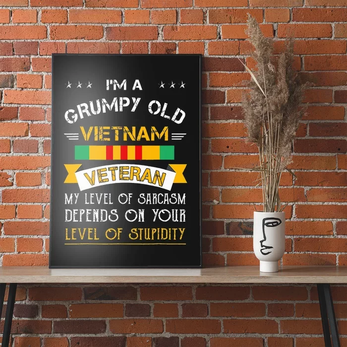 Im A Grumpy Old Vietnam Veteran Poster