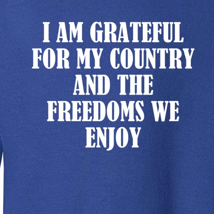 I Am Grateful For My Country And The Freedoms We Enjoy Gift Toddler Sweatshirt