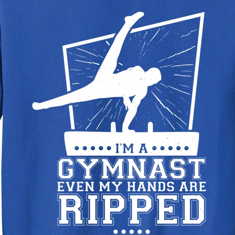 IM A Gymnast Even My Hands Are Ripped Gymnastic Great Gift Sweatshirt