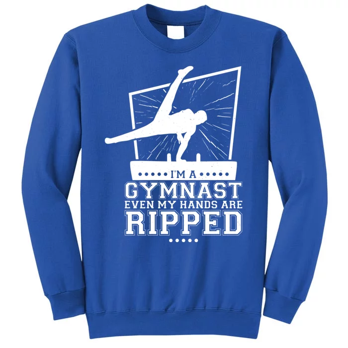 IM A Gymnast Even My Hands Are Ripped Gymnastic Great Gift Sweatshirt