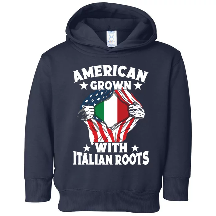 Italy American Grown With Italian Roots Proud Italian Toddler Hoodie