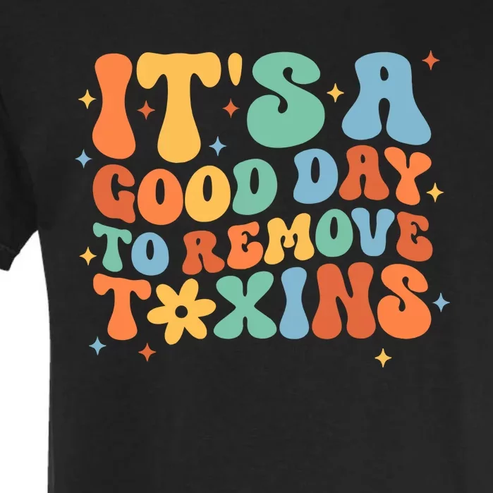 ItS A Great Day To Remove Toxins Garment-Dyed Heavyweight T-Shirt