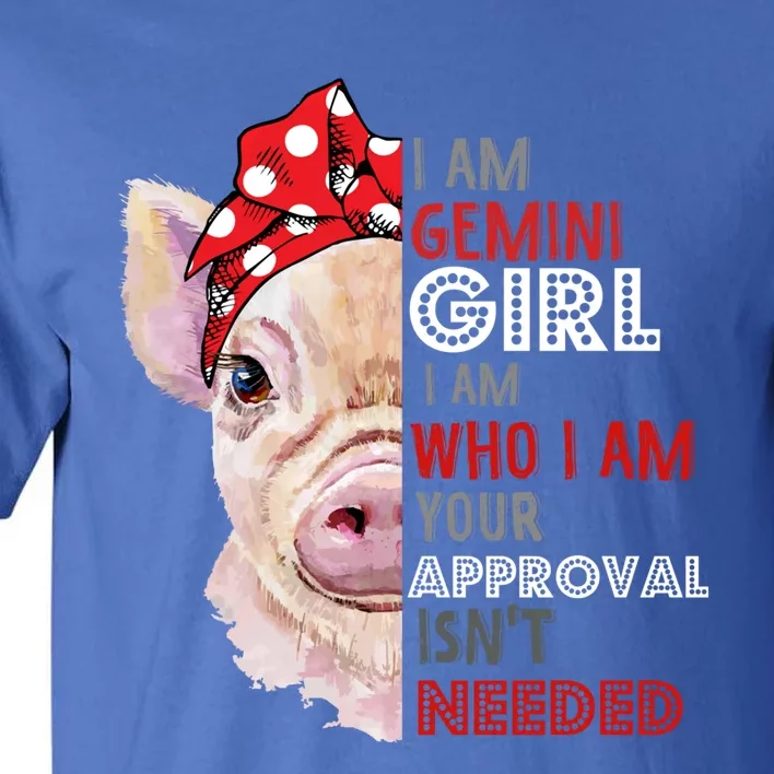 I Am Gemini Who Loves Pigs Star Sign Zodiac Gift Tall T-Shirt