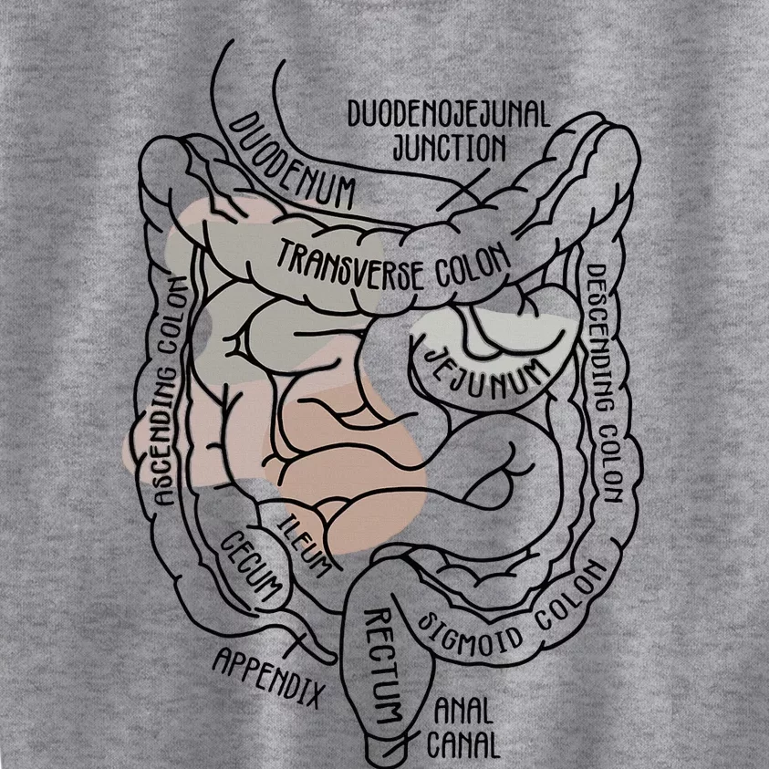 Intestines Anatomy Gastroenterologist Endoscopy Nurse Squad Kids Sweatshirt