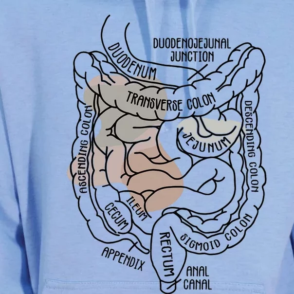 Intestines Anatomy Gastroenterologist Endoscopy Nurse Squad Unisex Surf Hoodie