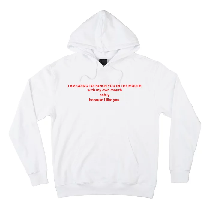 I Am Going To Punch You In The Mouth With My Own Mouth Softly Because I Like You Hoodie