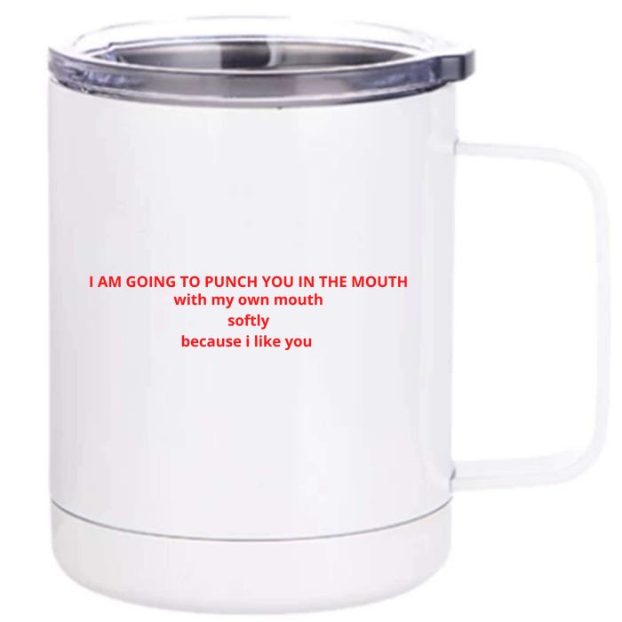 I Am Going To Punch You In The Mouth With My Own Mouth Softly Because I Like You Front & Back 12oz Stainless Steel Tumbler Cup