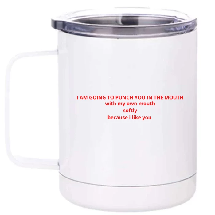 I Am Going To Punch You In The Mouth With My Own Mouth Softly Because I Like You Front & Back 12oz Stainless Steel Tumbler Cup