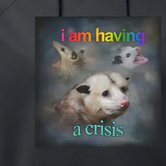 I Am Having A Crisis Dank Meme Performance Fleece Hoodie