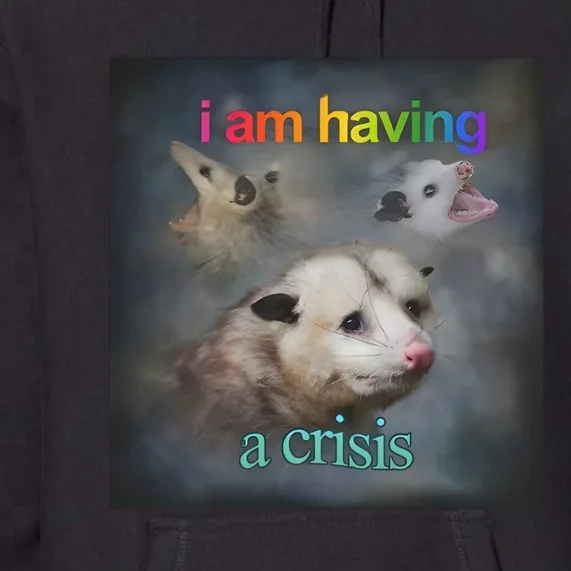 I Am Having A Crisis Dank Meme Premium Hoodie