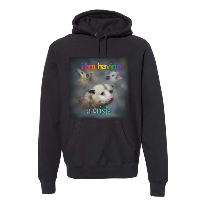 I Am Having A Crisis Dank Meme Premium Hoodie