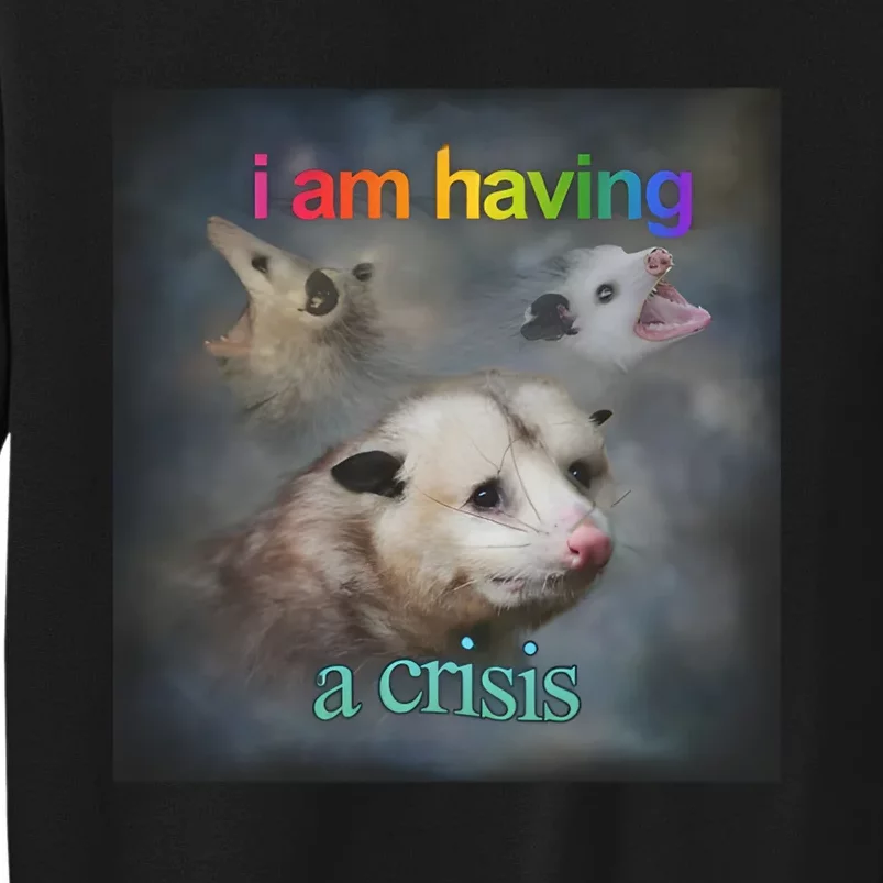 I Am Having A Crisis Dank Meme Tall Sweatshirt