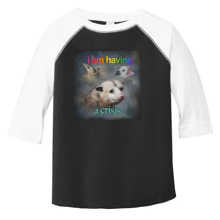 I Am Having A Crisis Dank Meme Toddler Fine Jersey T-Shirt