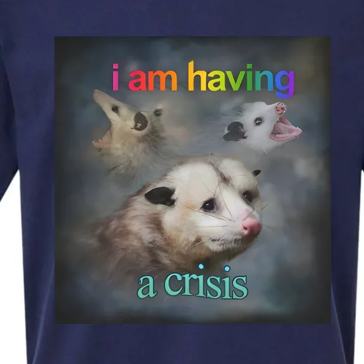 I Am Having A Crisis Dank Meme Sueded Cloud Jersey T-Shirt