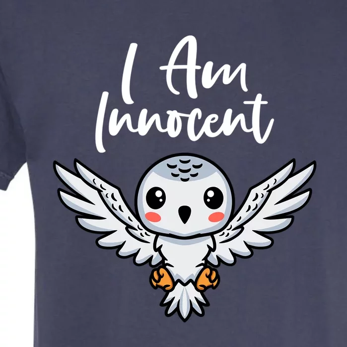 I Am Innocent I Kingfisher I Snow Owl Meaningful Gift Garment-Dyed Heavyweight T-Shirt