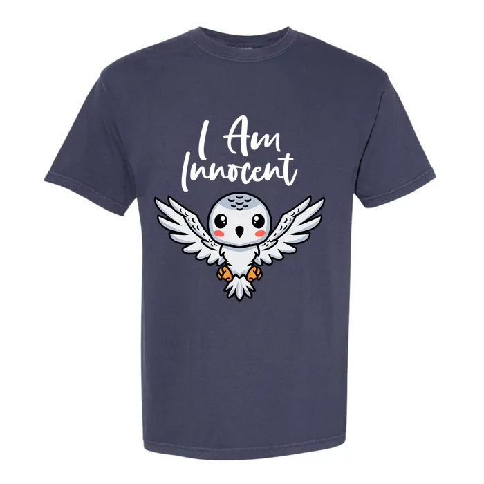 I Am Innocent I Kingfisher I Snow Owl Meaningful Gift Garment-Dyed Heavyweight T-Shirt