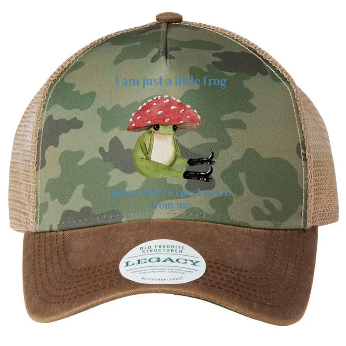 I Am Just A Little Frog Dont Expect Much Cute Cartoon Legacy Tie Dye Trucker Hat