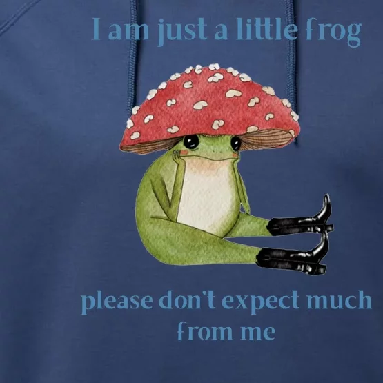 I Am Just A Little Frog Dont Expect Much Cute Cartoon Performance Fleece Hoodie