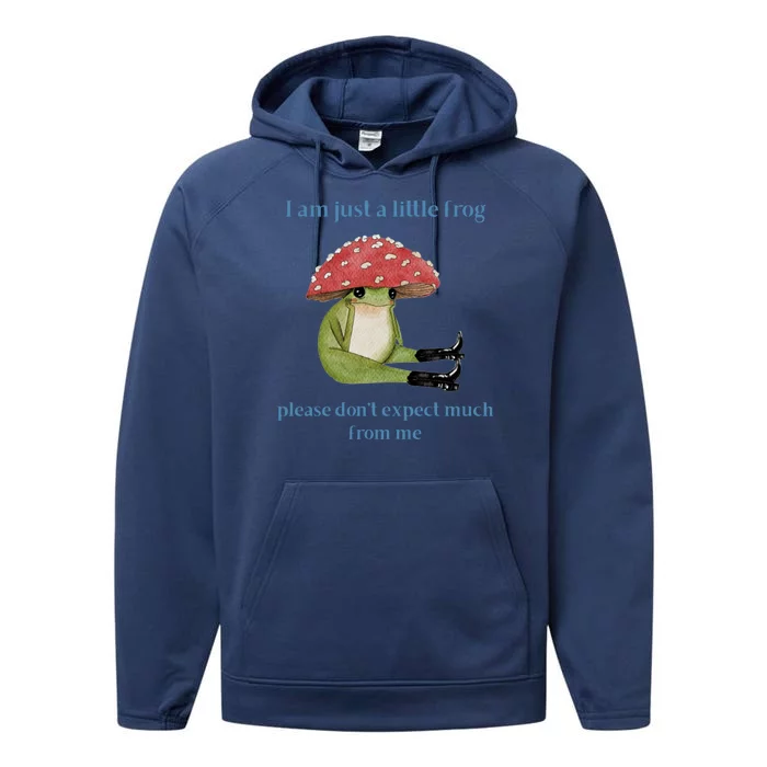 I Am Just A Little Frog Dont Expect Much Cute Cartoon Performance Fleece Hoodie