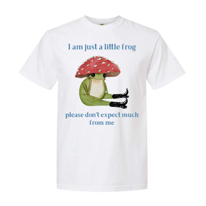 I Am Just A Little Frog Dont Expect Much Cute Cartoon Garment-Dyed Heavyweight T-Shirt