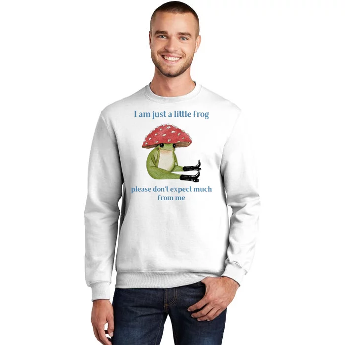 I Am Just A Little Frog Dont Expect Much Cute Cartoon Sweatshirt