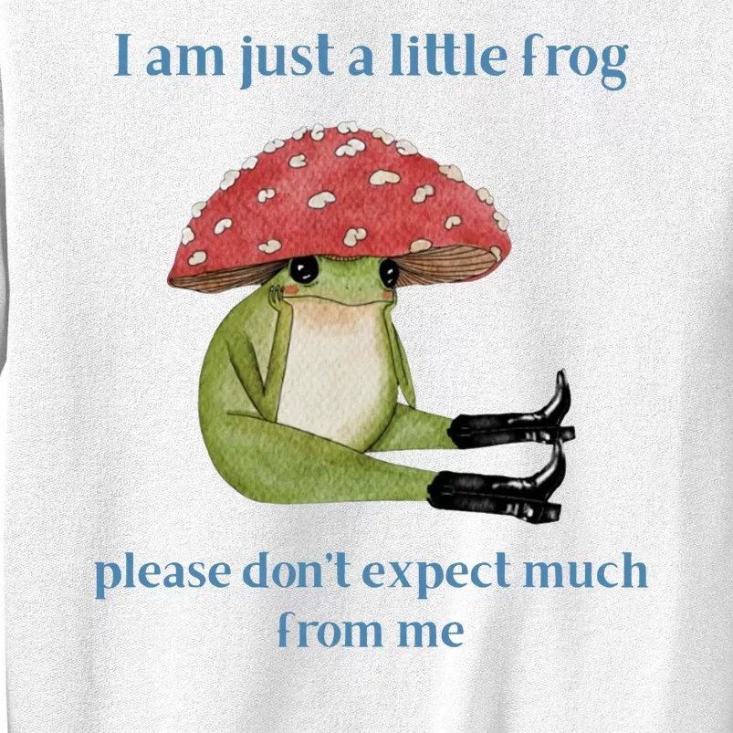 I Am Just A Little Frog Dont Expect Much Cute Cartoon Sweatshirt