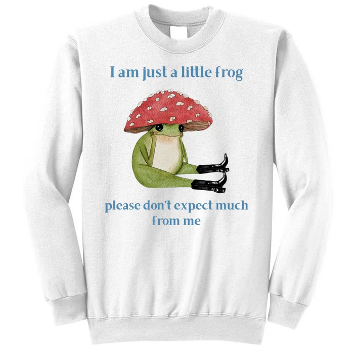 I Am Just A Little Frog Dont Expect Much Cute Cartoon Sweatshirt