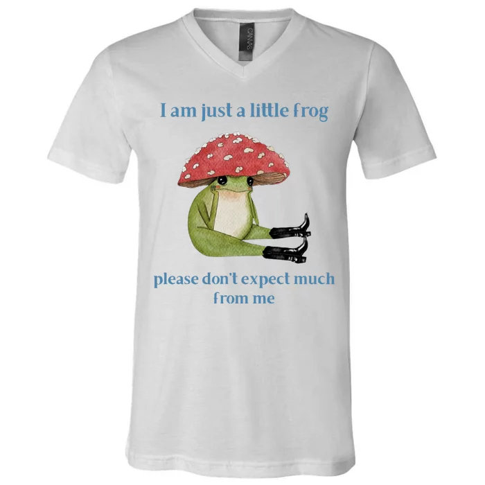 I Am Just A Little Frog Dont Expect Much Cute Cartoon V-Neck T-Shirt