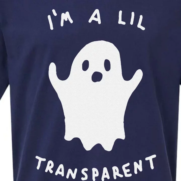 Im A Lil Transparent Sueded Cloud Jersey T-Shirt