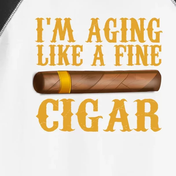 Im Aging Like A Fine Cigar Funny Fathers Day Dad Gift Idea Gift Toddler Fine Jersey T-Shirt