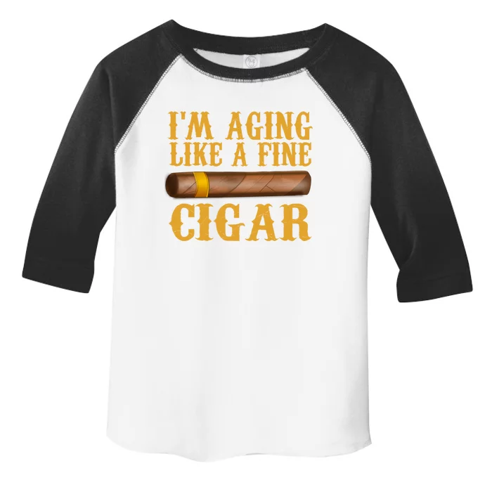 Im Aging Like A Fine Cigar Funny Fathers Day Dad Gift Idea Gift Toddler Fine Jersey T-Shirt