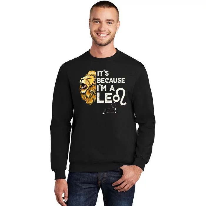 Im A Leo Zodiac Sign Astrology July August Birthday Leo Sweatshirt