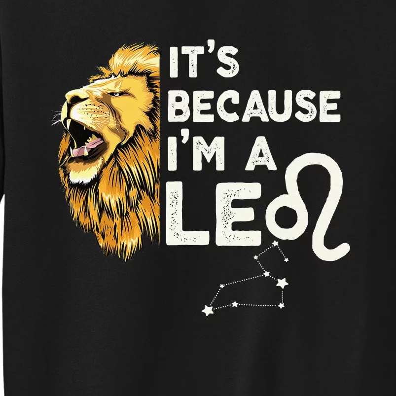 Im A Leo Zodiac Sign Astrology July August Birthday Leo Sweatshirt