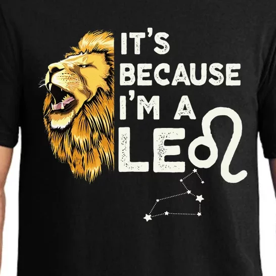 Im A Leo Zodiac Sign Astrology July August Birthday Leo Pajama Set