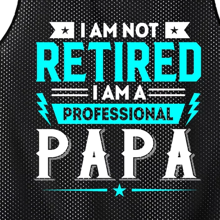 I Am Not Retaired I Am Professional Papa Mesh Reversible Basketball Jersey Tank