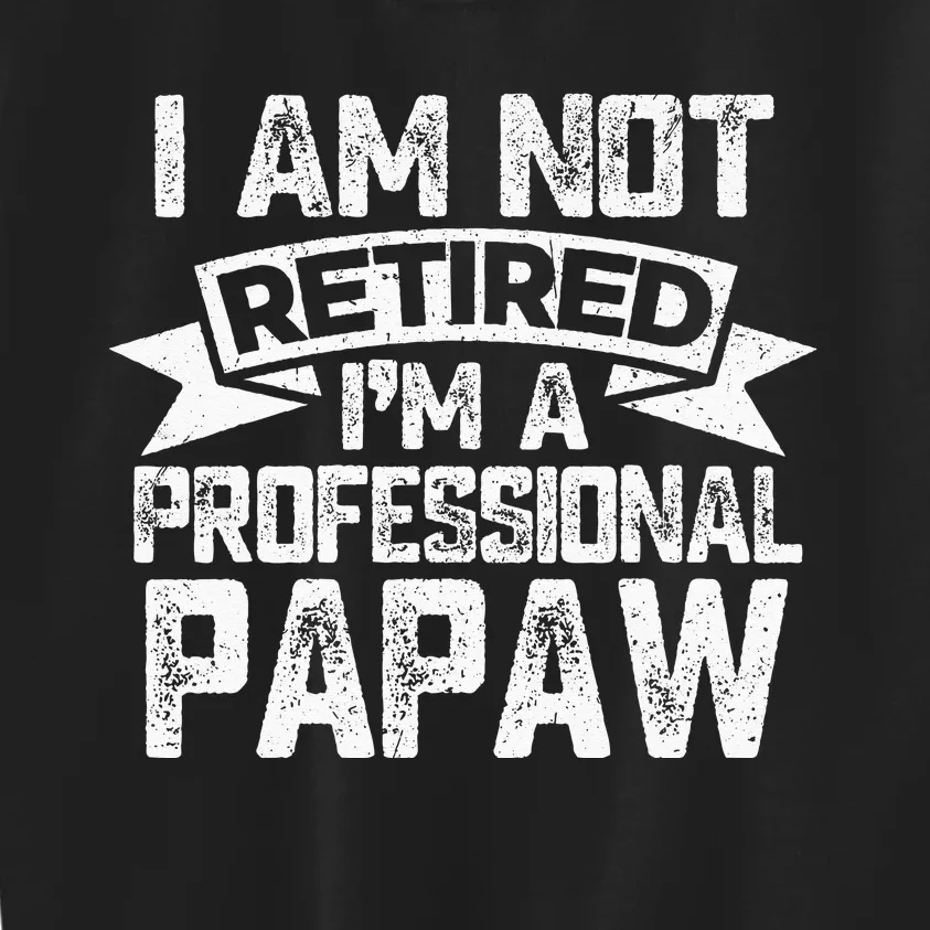 I Am Not Retired I Am Professional Papaw Grandpa Fathers Day Kids Sweatshirt