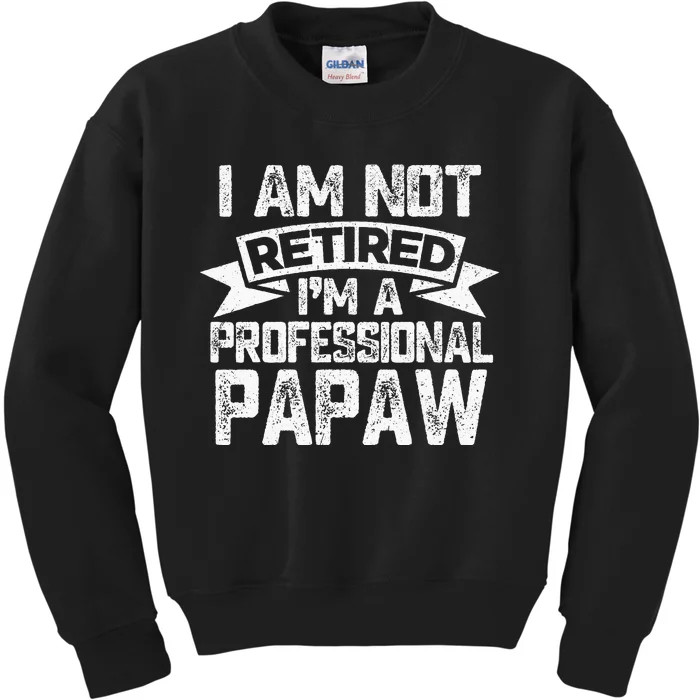 I Am Not Retired I Am Professional Papaw Grandpa Fathers Day Kids Sweatshirt