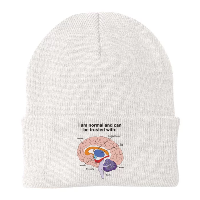 I Am Normal And Can Be Trusted Knit Cap Winter Beanie